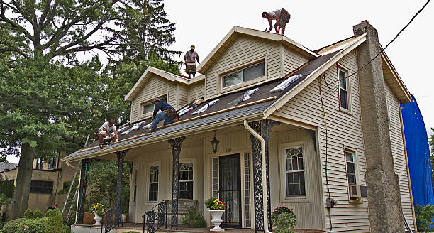 Best Roof Gutter Cleaning  in Stanberry, MO